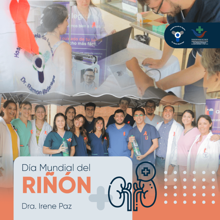 Día Mundial del Riñón: En Misiones hay 639 pacientes registrados en ...